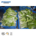 Best Sale Vacuum Cooler for Vegetables with High Efficiency